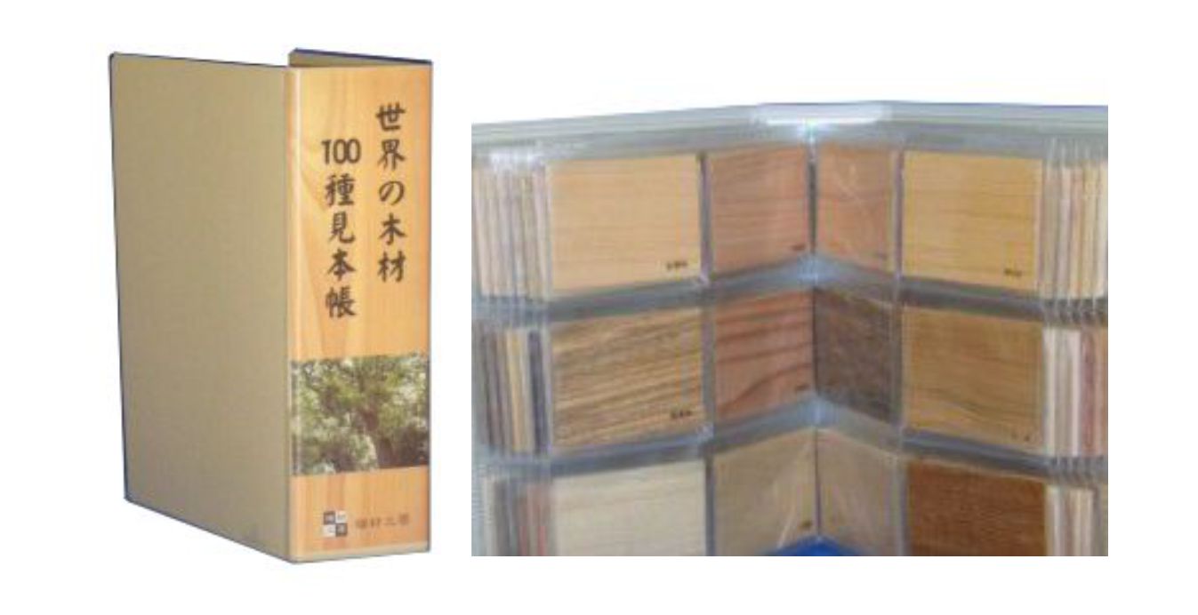 世界の木材200種の樹種見本帳 専用展示板セット